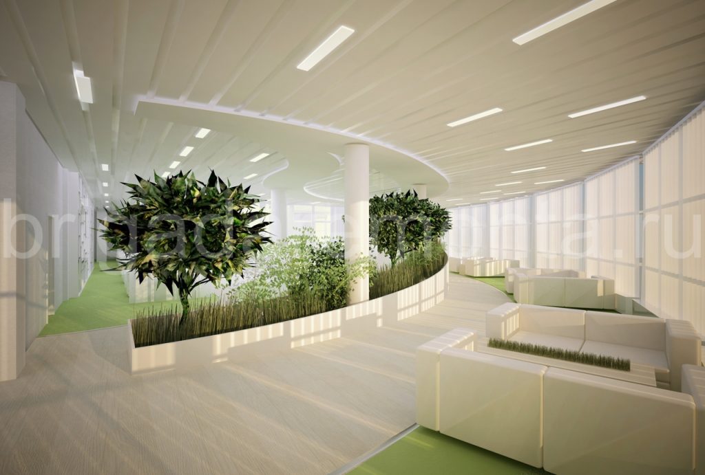 Визуализация офиса,деревья в офисе,потолок в офисе,подсветка,диван,колонны